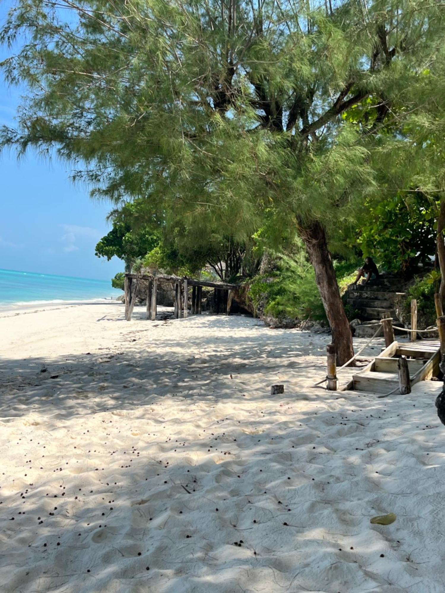 Sazani Beach Lodge And Tidal Lounge Нунгви Екстериор снимка