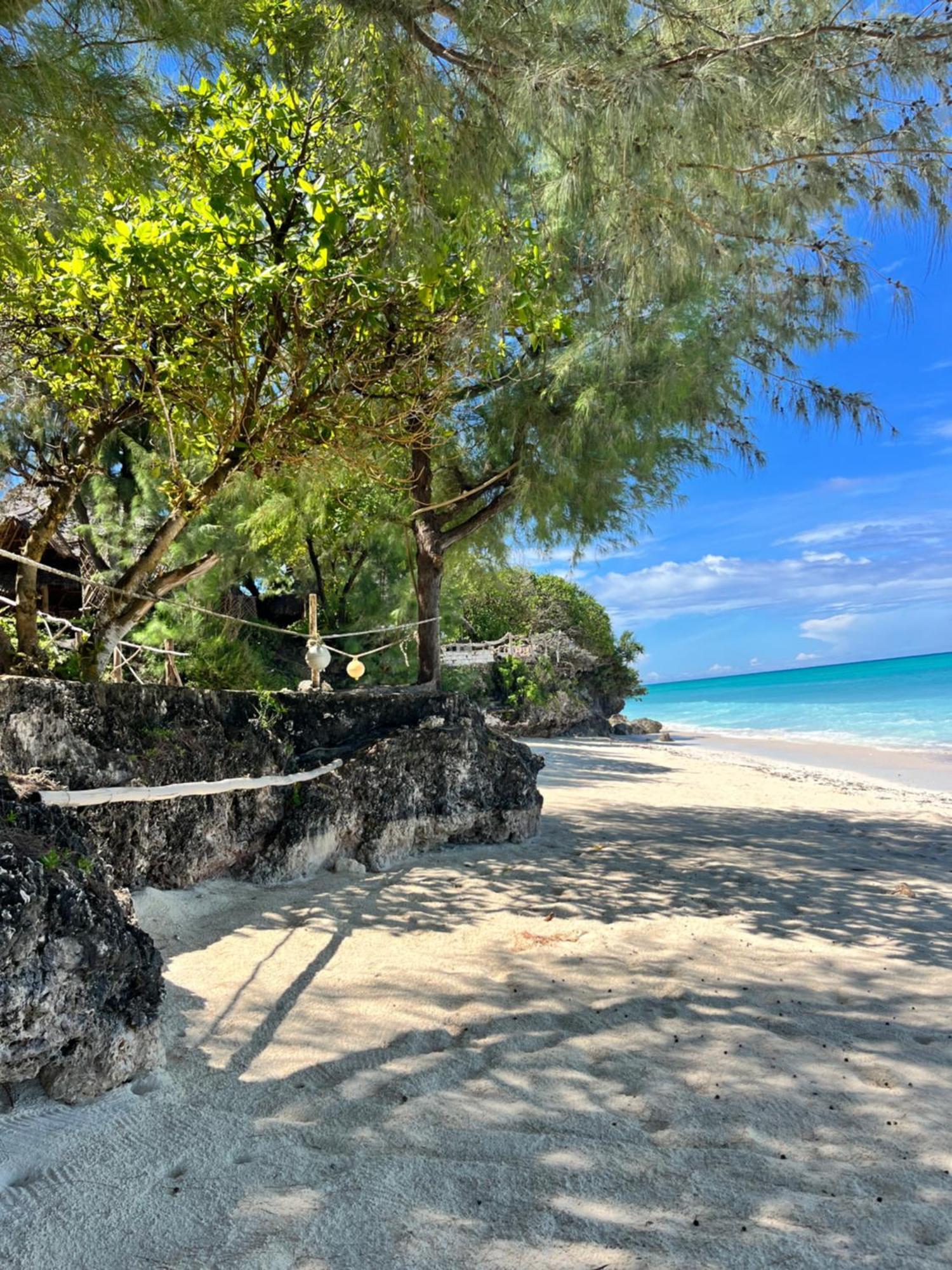 Sazani Beach Lodge And Tidal Lounge Нунгви Екстериор снимка