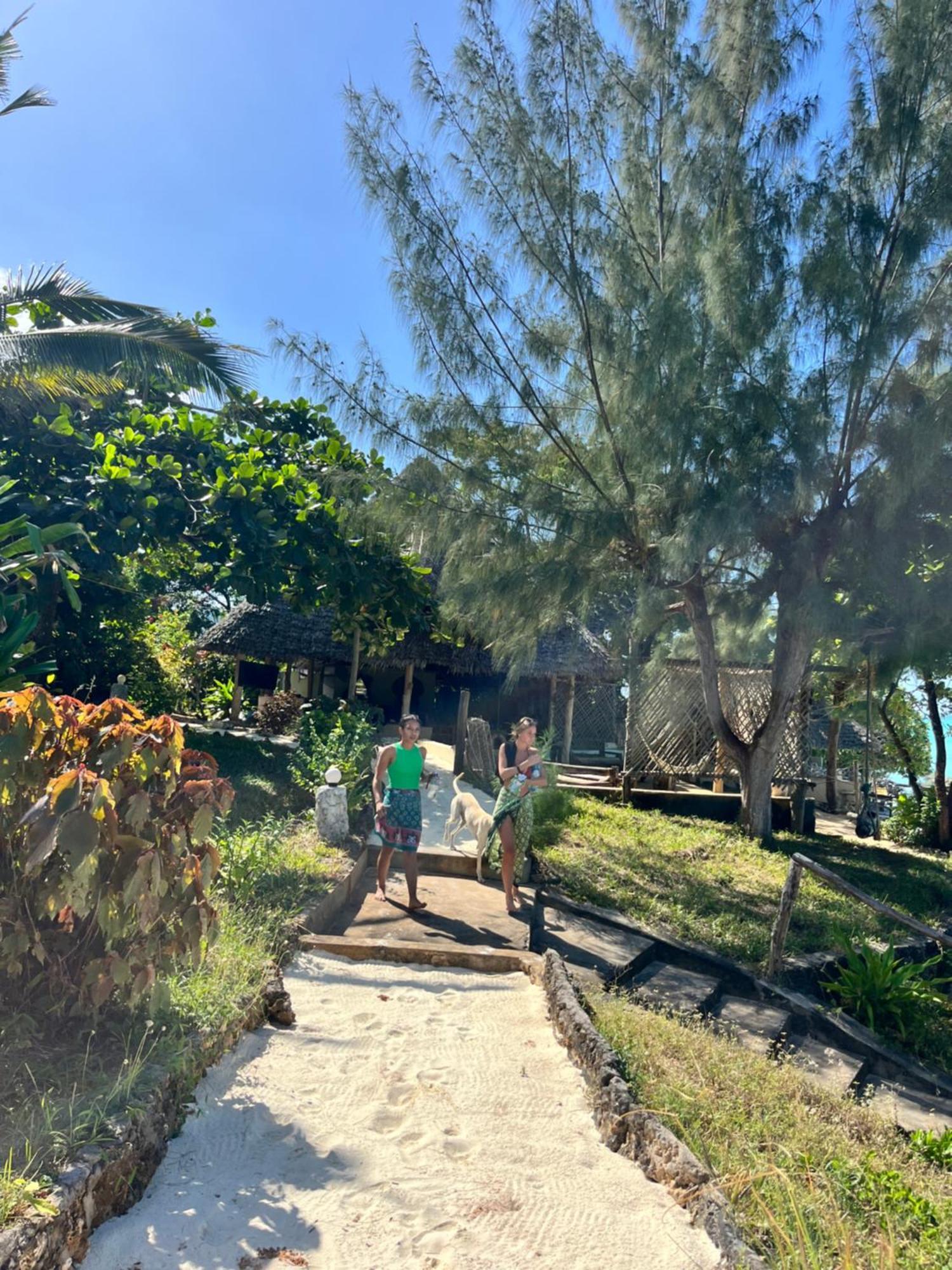 Sazani Beach Lodge And Tidal Lounge Нунгви Екстериор снимка