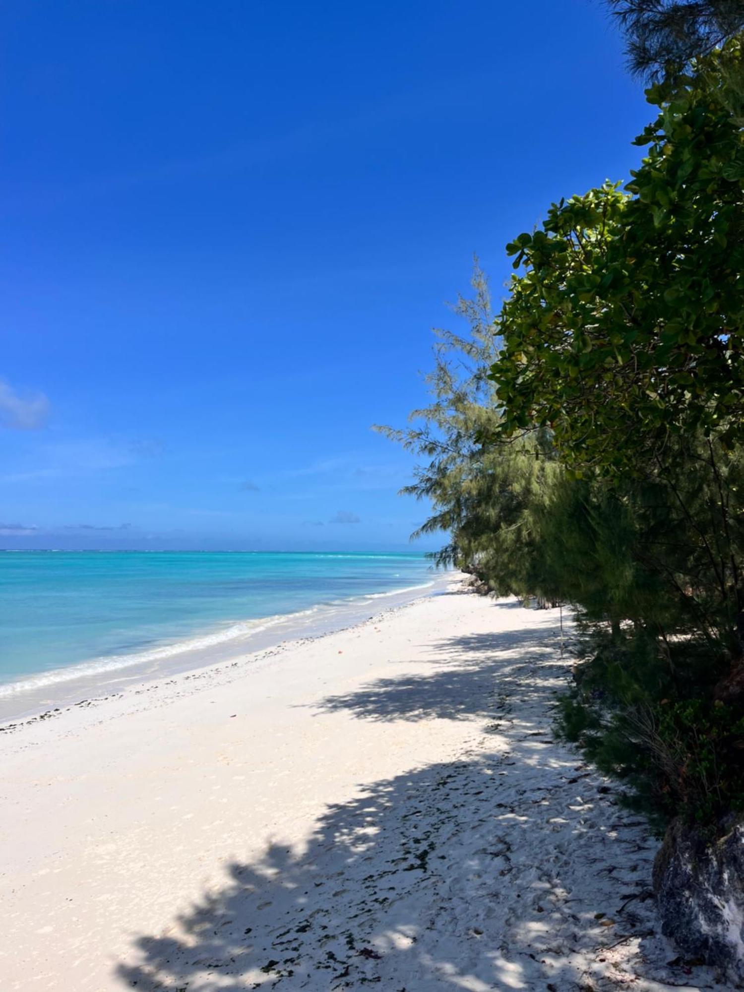 Sazani Beach Lodge And Tidal Lounge Нунгви Екстериор снимка