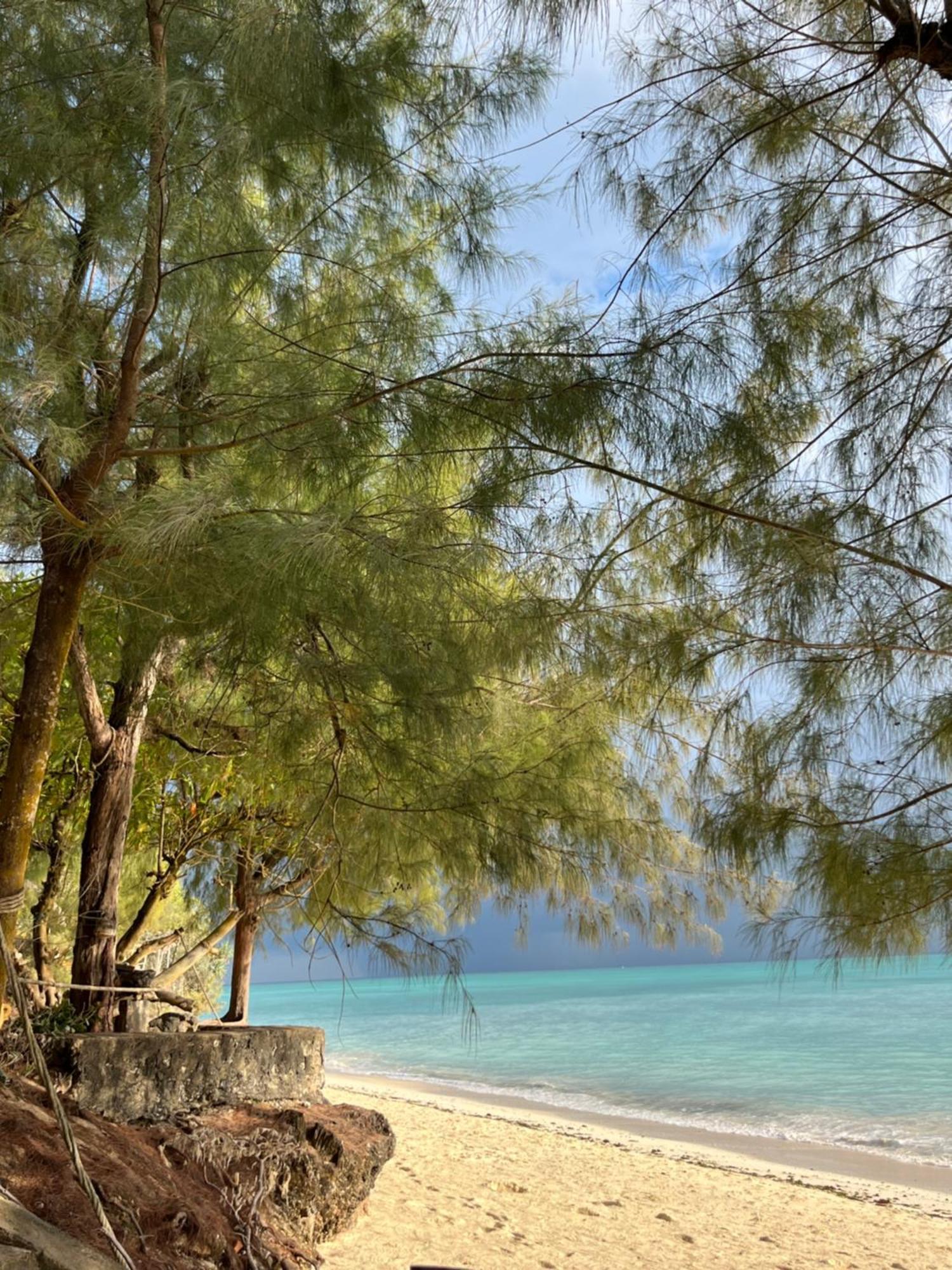 Sazani Beach Lodge And Tidal Lounge Нунгви Екстериор снимка