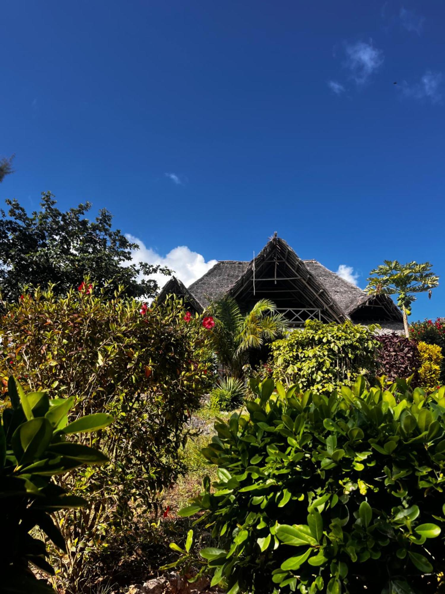 Sazani Beach Lodge And Tidal Lounge Нунгви Екстериор снимка