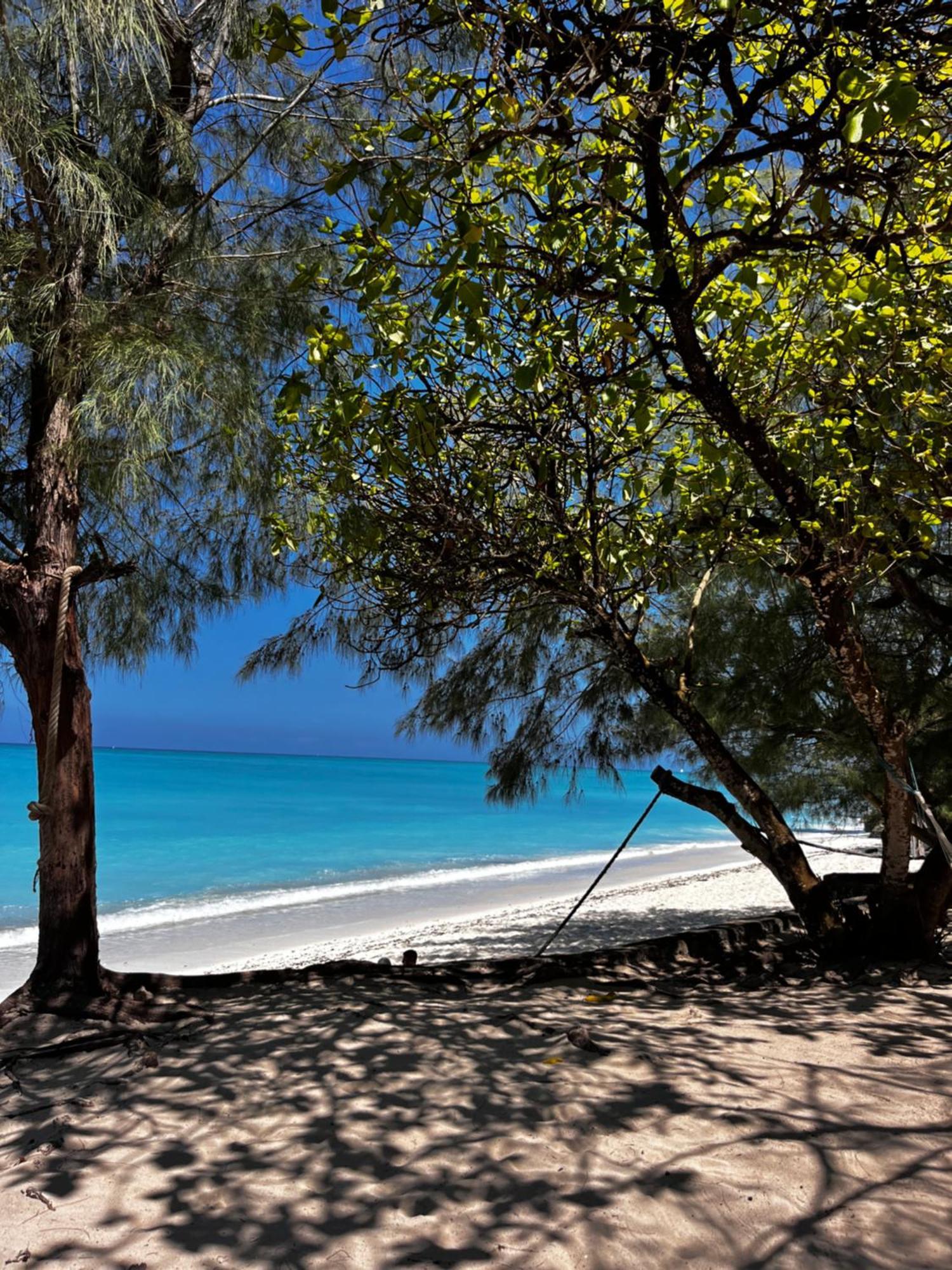Sazani Beach Lodge And Tidal Lounge Нунгви Екстериор снимка